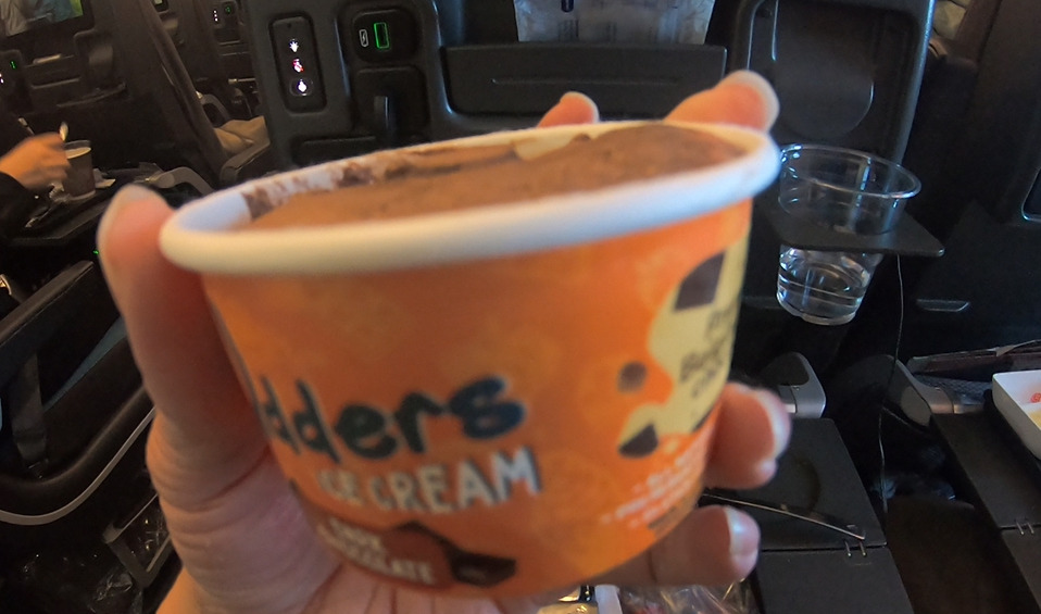 シンガポールから大阪の機内食のアイス